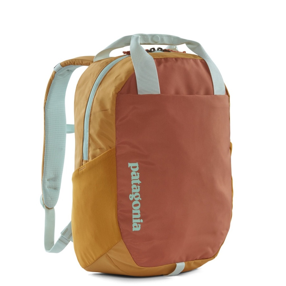 Patagonia Two-Tone Backpack